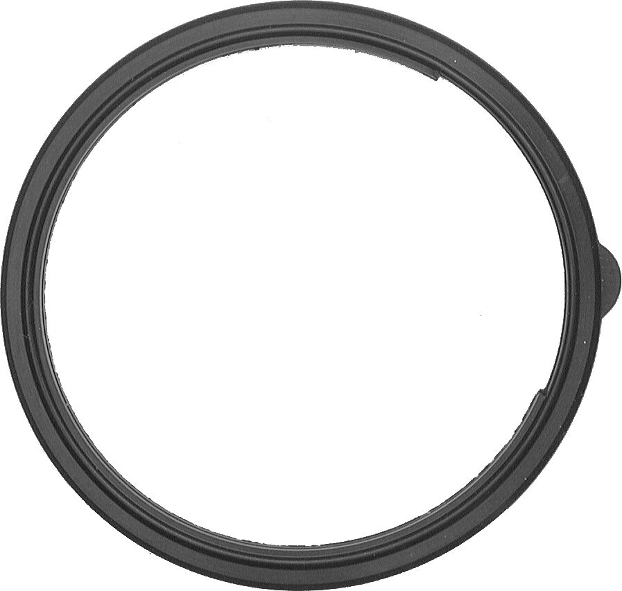 Facet Dichtung, Thermostat 7.9592