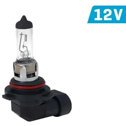 Vision HB4 Glühlampe 12V 55W Autolampe P22d