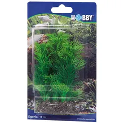 Hobby Egeria, 13 cm - künstliche Aquariumpflanze