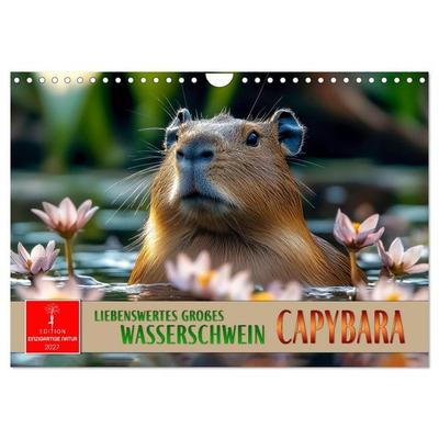 Capybara - liebenswertes großes Wasserschwein (Wandkalender 2027 DIN A4 quer), CALVENDO Monatskalender