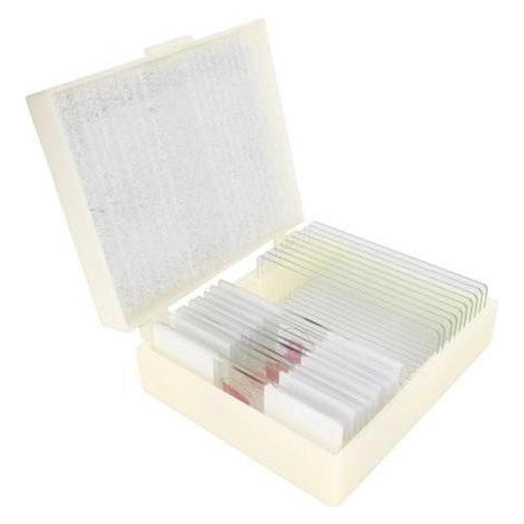 Konus Preparate Set Reproduction Of Animals (10 Stk.) (Animal reproduction (10 slides))