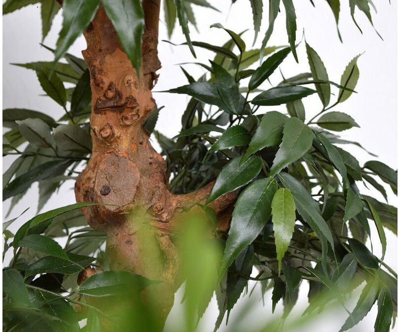 Kunstbaum BOTANIC-HAUS "Bonsai", grün, H:80cm Ø:50cm, Polyester, Kunstpflanzen, Kunstbaum grün Ø/H: 50cm x 80cm