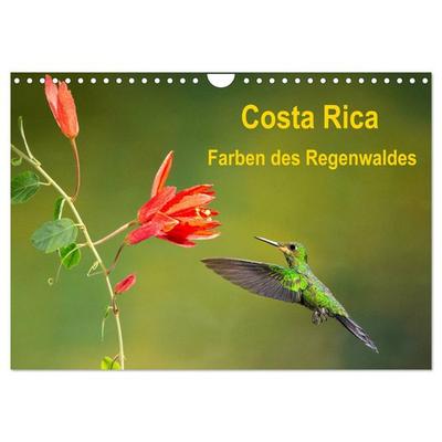 Costa Rica - Farben des Regenwaldes (Wandkalender 2026 DIN A4 quer), CALVENDO Monatskalender