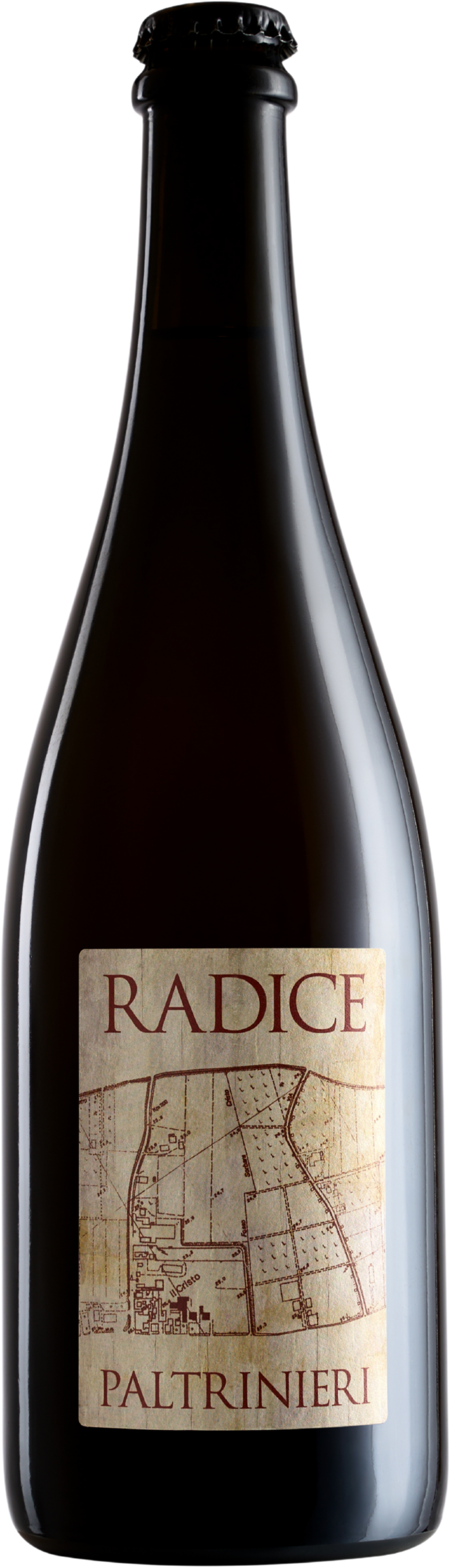 Lambrusco di Sorbara 'Radice' Paltrinieri 2025