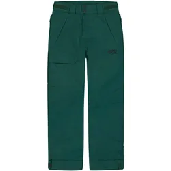 PICTURE TIME Hose 2025 ponderosa pine - 10