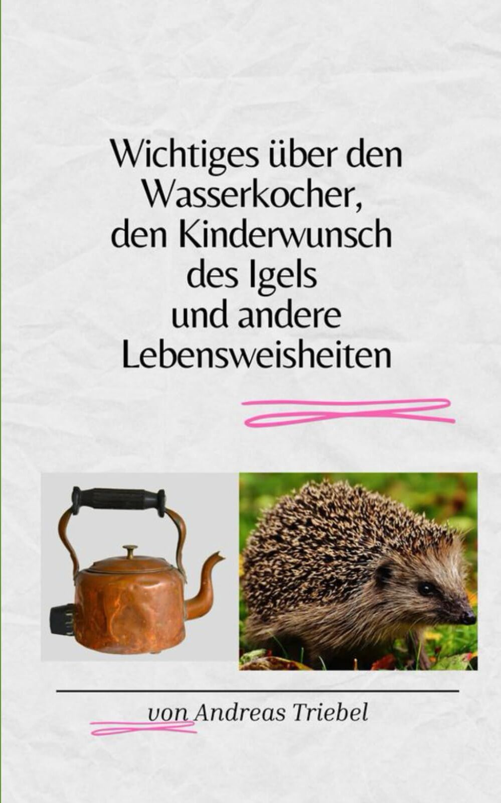Wichtiges über den Wasserkocher, den Kinderwunsch des Igels und andere Lebensweisheiten - Preis vom 12.10.2026 11:37:12 h