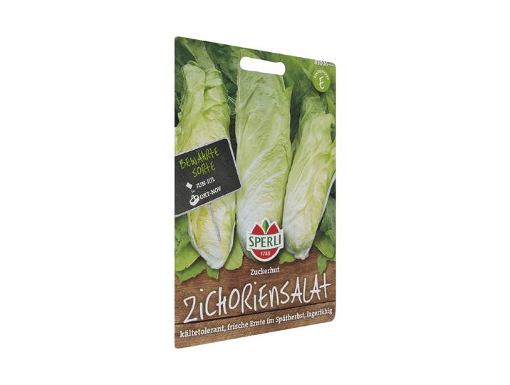 Sperli Zichoriensalat Zuckerhut