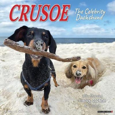 Crusoe the Celebrity Dachshund 2026 Wall Calendar