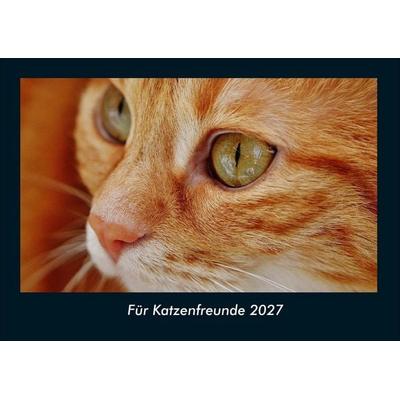 Für Katzenfreunde 2027 Fotokalender DIN A4
