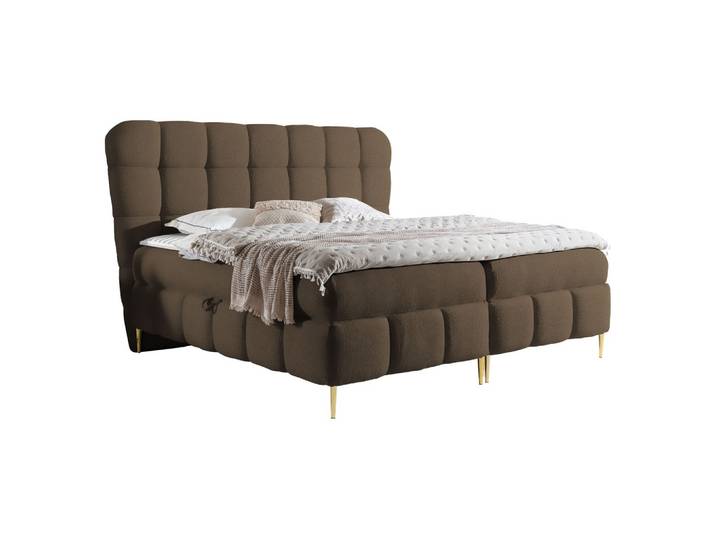 BOXBETT Lolly - H3