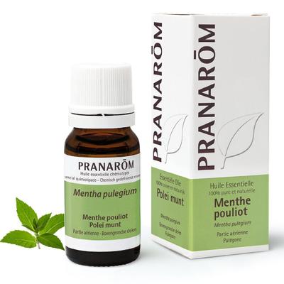 Pranarom Polei Munt Essentiële Olie 10 ml Ätherisches Öl