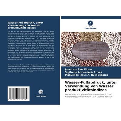 Wasser-Fußabdruck, unter Verwendung von Wasser produktivitätsindizes, Taschenbuch von José Luis Ríos Flores,Sigifredo Armendáriz Erives,Manuel de