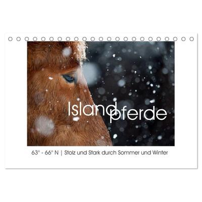 Islandpferde - Stolz und Stark durch Sommer und Winter (Tischkalender 2026 DIN A5 quer), CALVENDO Monatskalender