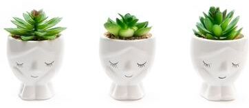 IH Casa Decor Ceramic Girl With Succulent Asstd - Set of 3