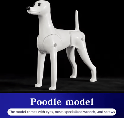 Inspire Picks ProGroom Standard Poodle Practice Model Full Body Grooming Training Dog With Skeleton Structure poodle Model