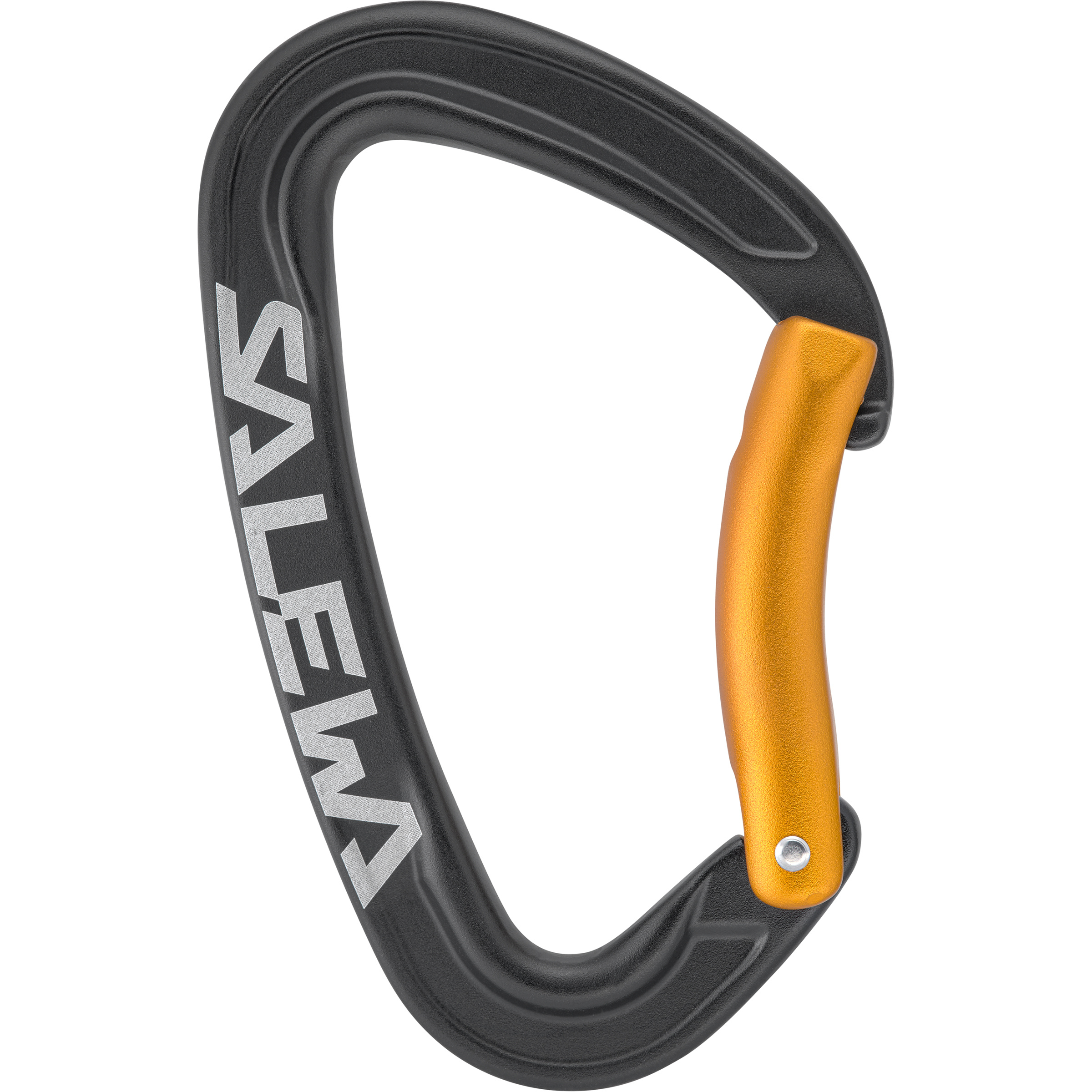 Salewa Ortles Bent Karabiner Karabiner schwarz Alpinklettern | Sportklettern