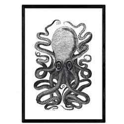 POSTER Octopus A4 Rahmenlos