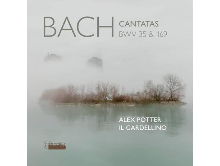 Cantatas Bwv 35 & 169