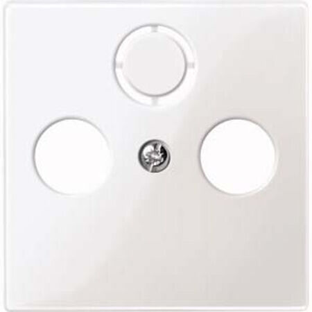 Merten Plaque centrale pws/gl pour prise antenne 296719 (296719)