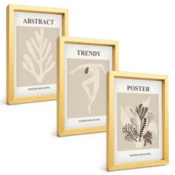 BILDER SET 3er Set - 20x30 cm Goldrahmen - Blumenmuster beige braun