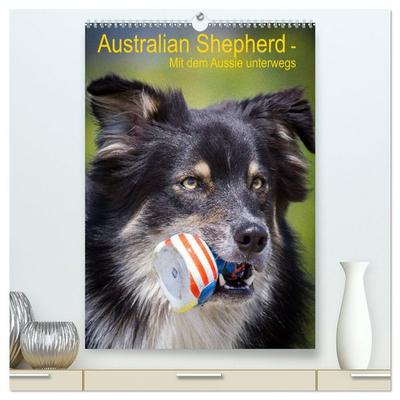 Australian Shepherd – Mit dem Aussie unterwegs (hochwertiger Premium Wandkalender 2026 DIN A2 hoch), Kunstdruck in Hochglanz