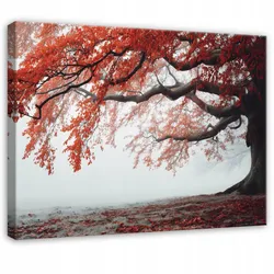 LEINWANDBILD Baum Nebel Orange 100x70 cm