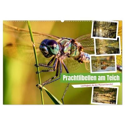 Prachtlibellen am Teich (Wandkalender 2027 DIN A2 quer), CALVENDO Monatskalender