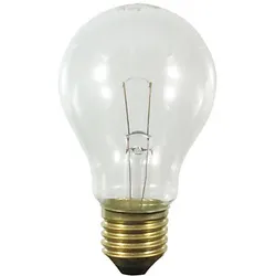 Scharnberger+Hasenbein Backofenlampe AGL B60x105 E27 24V 60W 300° 29940