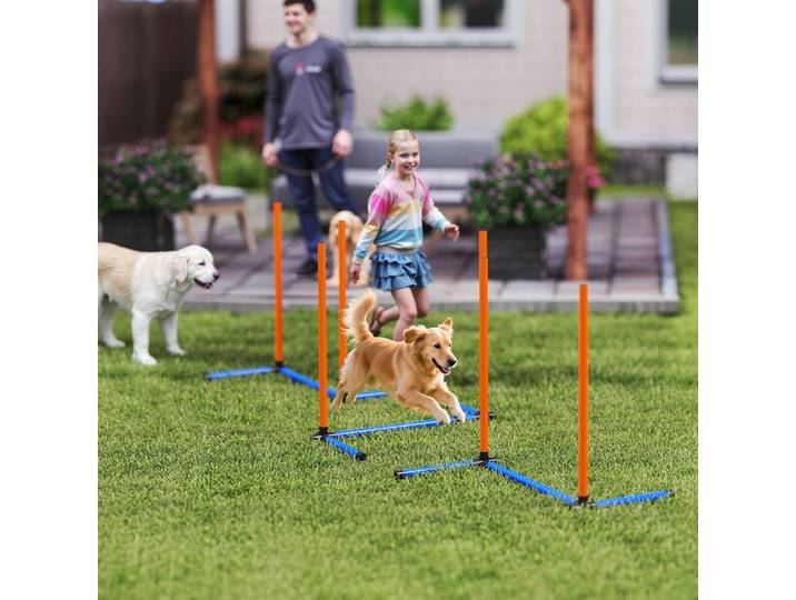 PawHut Set Agility Chiens 3 Pièces avec Piquets et Sac Orange
