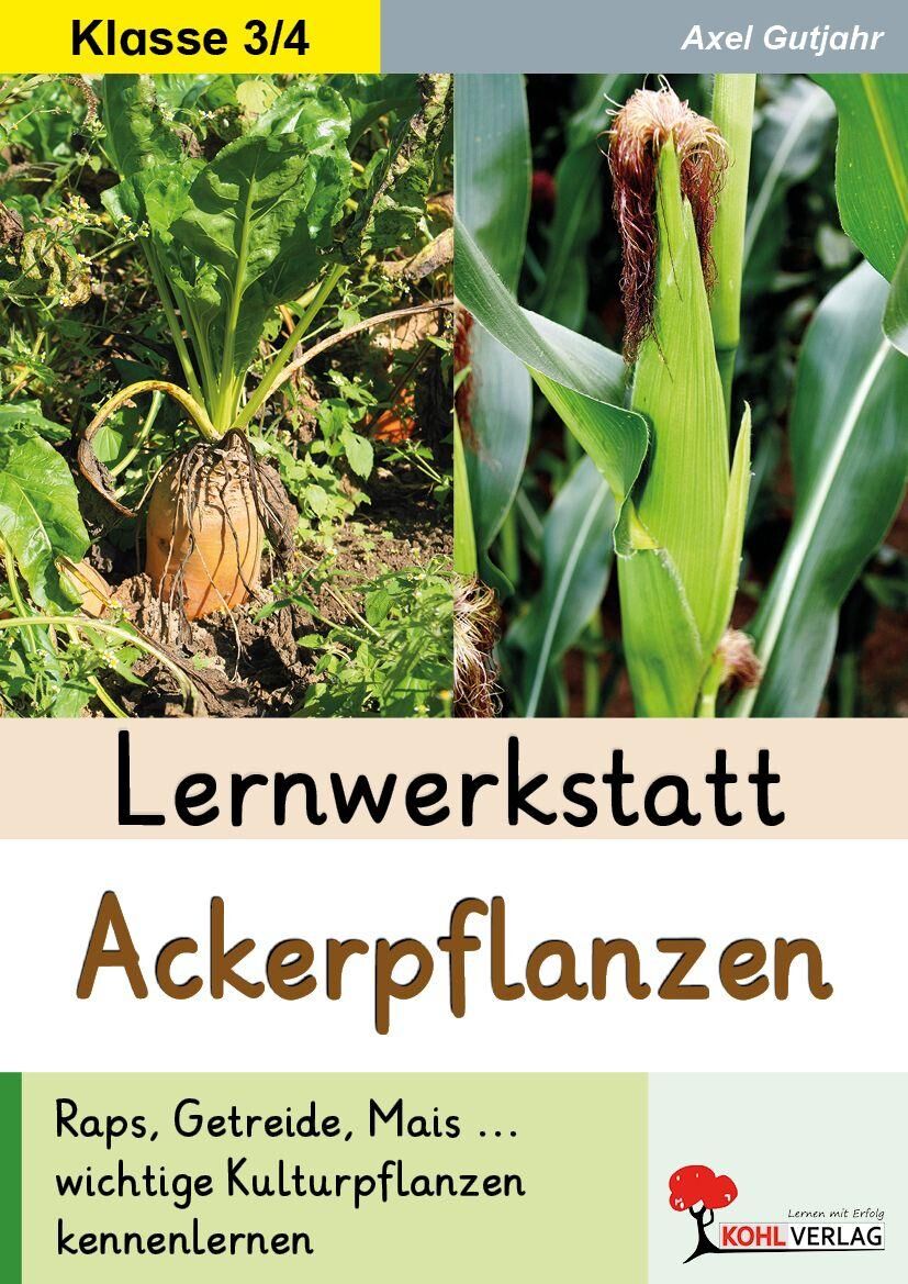 KOHL Verlag Lernwerkstatt Ackerpflanzen