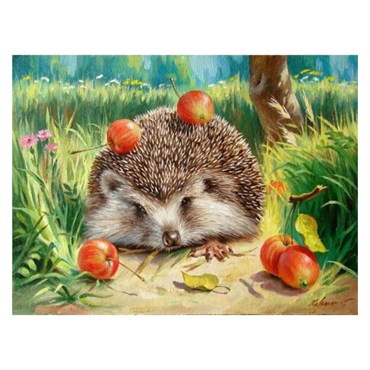 Pracht Diamond Painting 6037-40561 Igel 25 x 35 cm (6037-40561)