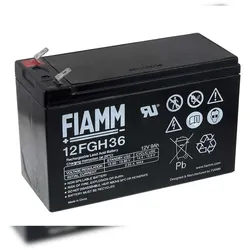 FIAMM Bleiakku FGH20902 12FGH36 (hochstromfest)