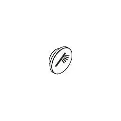 Hansgrohe Symbol Handbrause Axor 93307000