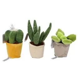 Sombo Pflanzen Plüsch (19 cm)