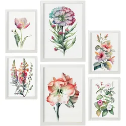 POSTER Set Mit 6 Hibiskus Vollfarbige Natur Und Botanikdrucke Mit Blumenmotiven Auf Reinweißen Hintergründen Innenarchitektur A3 & A4 Weißer Rahmen