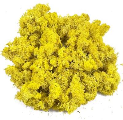 Inspire Select Artificial Reindeer Moss Decor Faux Green Moss For Crafts, Potted Plants & Wall Art yellow 0.7 Oz