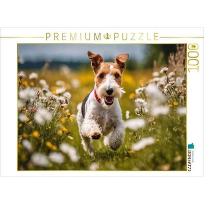 CALVENDO Puzzle Mit Volldampf über die Wiese | 1000 Teile Lege-Größe 64x48cm Foto-Puzzle für glückliche Stunden