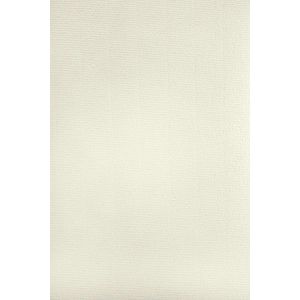 Netuno Briefpapier FA120CL103/A4, Aster Laid, elfenbein, A4, Strukturpapier, 120 g/m², 50 Blatt