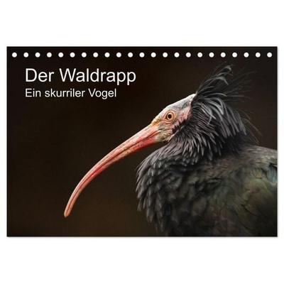 Der Waldrapp - Ein skurriler Vogel (Tischkalender 2026 DIN A5 quer), CALVENDO Monatskalender