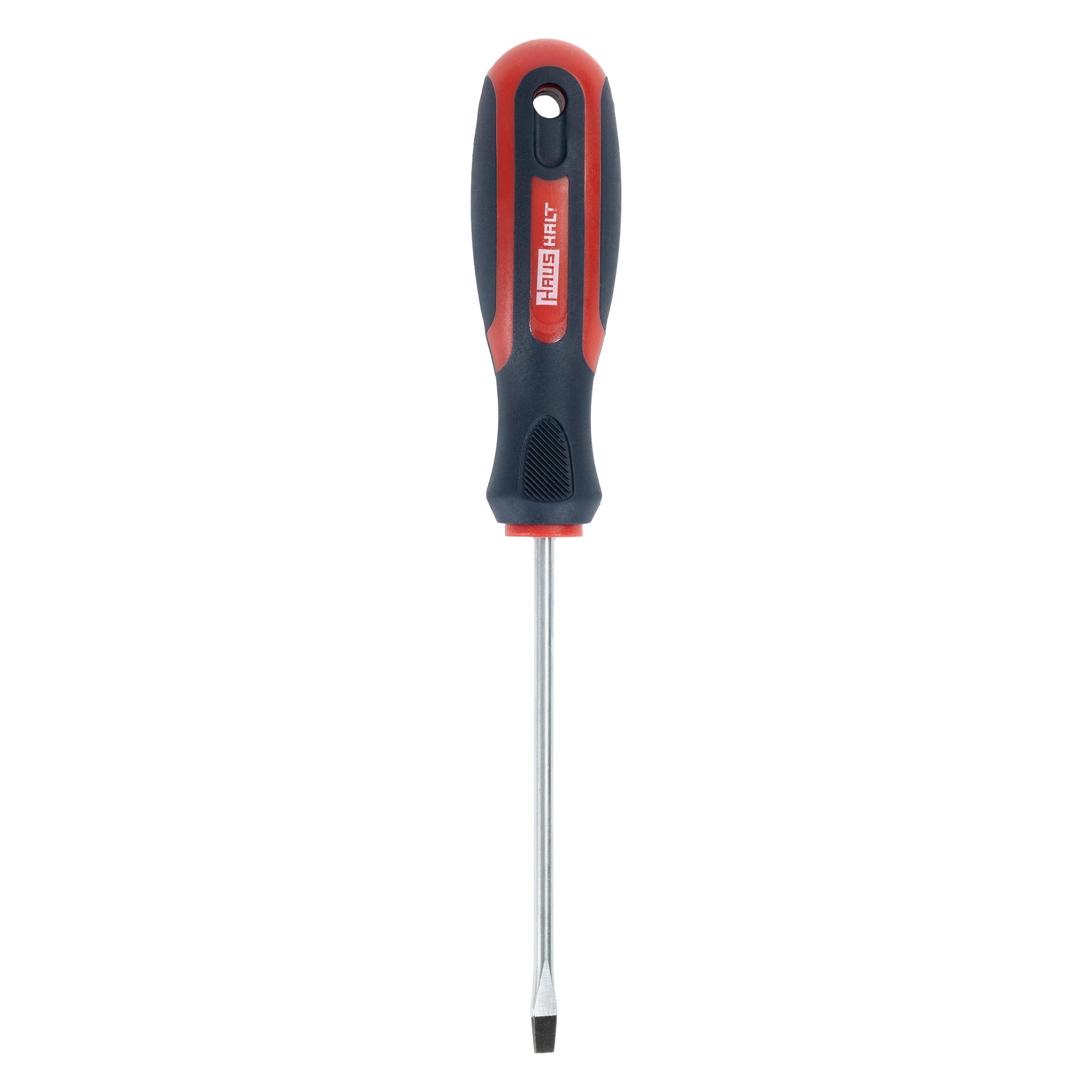 Haushalt FLAT SCREWDRIVER SL4X100MM (61853800)