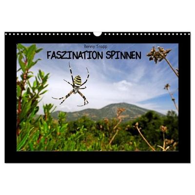 Faszination Spinnen (Wandkalender 2027 DIN A3 quer), CALVENDO Monatskalender