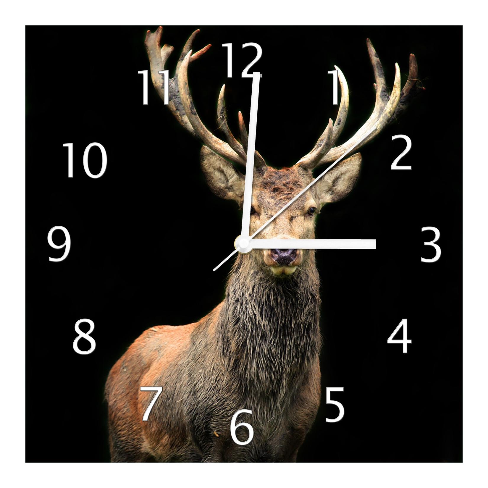 Wallario Uhr 30 x 30 cm, weiße Zeiger Stattlicher Rothirsch