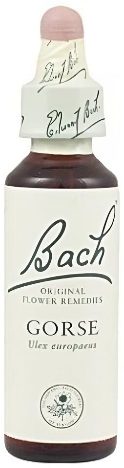 Original Flower Essences Bach 13 Aulaga 20 ml