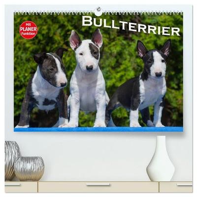 Bullterrier (hochwertiger Premium Wandkalender 2027 DIN A2 quer), Kunstdruck in Hochglanz