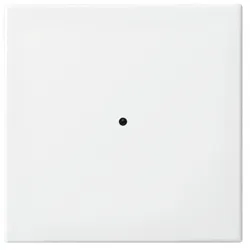 Busch-Jaeger Wandsender 6731-914