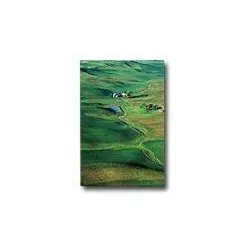 Epson Premium - Seidenmattfotopapier - A3 (297 x 420 mm) - 251 g/m2 - 20 Blatt - für Stylus Pro 11880, Pro 3880, Pro 48X