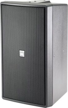 JBL Control 29 AV Kleinlautsprecher passiv, schwarz