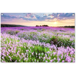 GARTENPOSTER Blumen - Lavendel - Lila - Himmel - Sonnenuntergang - Wiese - Natur Gartendeko 90x60 cm