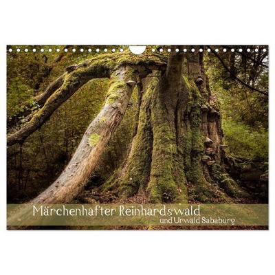 Märchenhafter Reinhardswald und Urwald Sababurg (Wandkalender 2027 DIN A4 quer), CALVENDO Monatskalender