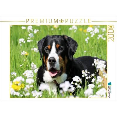 CALVENDO Puzzle Großer Schweizer Sennenhund | 2000 Teile Lege-Größe 90x67cm Foto-Puzzle für glückliche Stunden, Sonstige von , Calvendo Puzzle